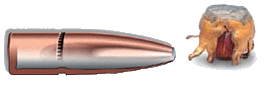 Ammunition Image