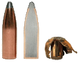 Ammunition Image