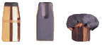 Ammunition Image