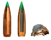 Ammunition Image