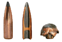 Ammunition Image