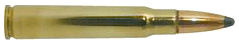 Ammunition Image