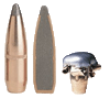 Ammunition Image