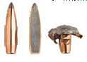 Ammunition Image